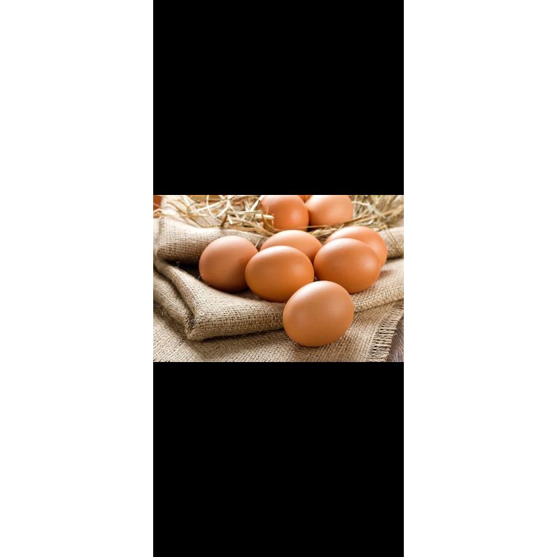 

Telur Ayam