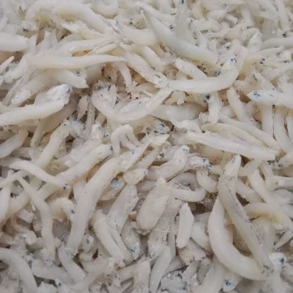 

Teri Nasi Medan Asli Super Sedang 250gram