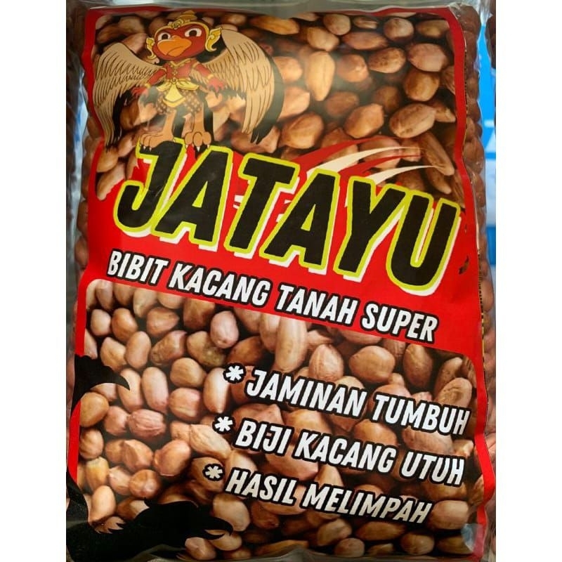 

BENIH KACANG TANAH KUALITAS SUPER SIAP TANAM 1KG