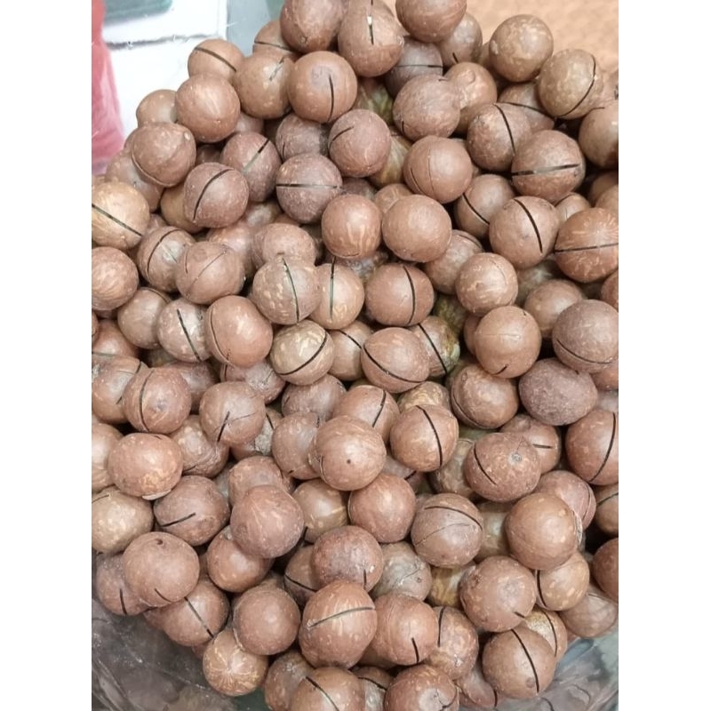 

Terlaris! macademia kacang rasa vanilla susu