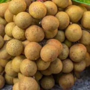 

kelengkeng Bangkok 250g