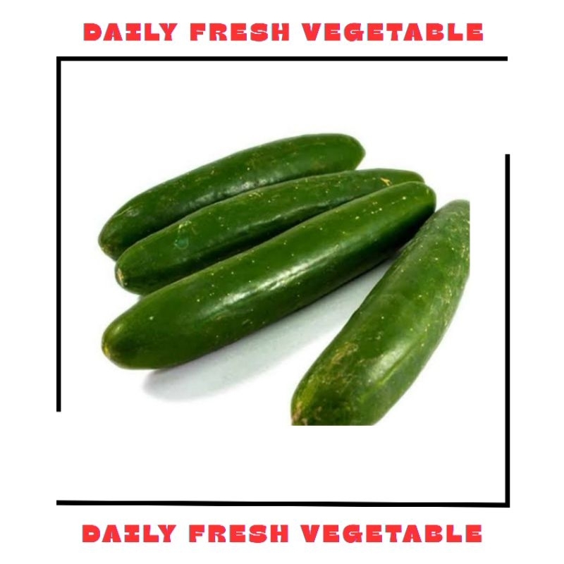 

Zuchini Timun Jepang Fresh 1 Buah