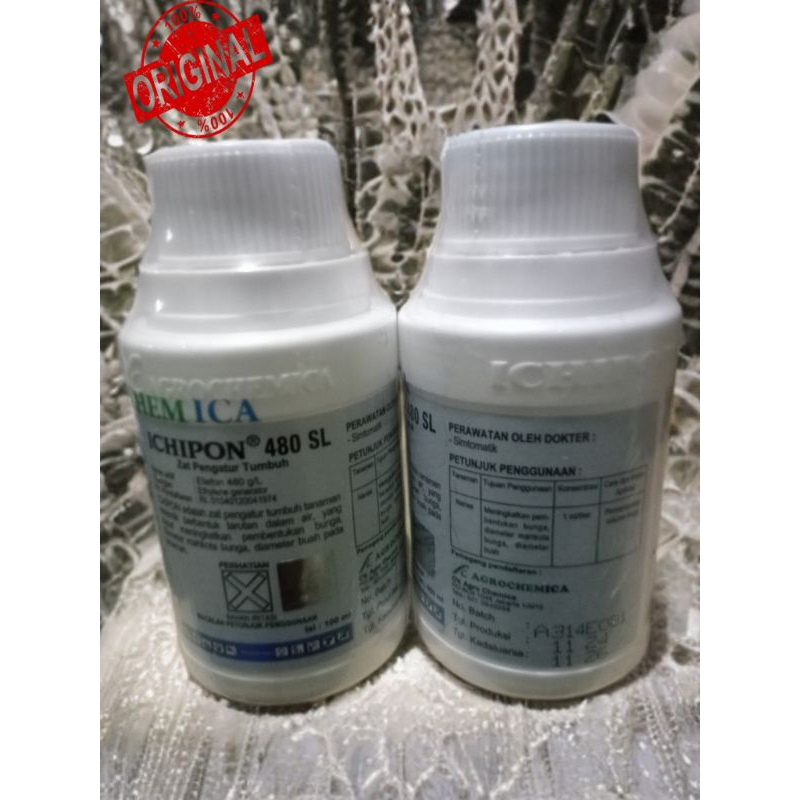 Ichipon 480 SL 100Ml