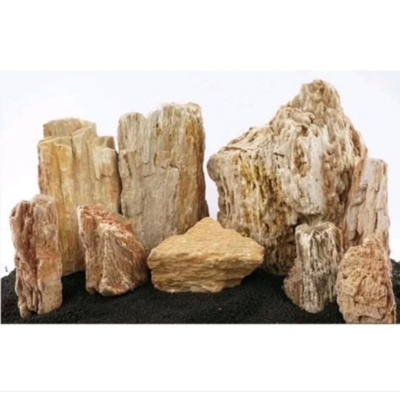 batu fosil hias aquascape aquarium 1kg / batu fosil aquascape