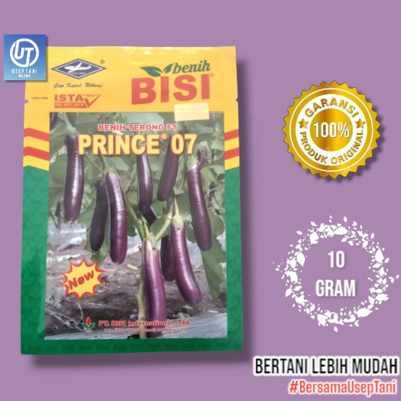 

BENIH TERONG F1 PRINCE 07 10 GRAM CAP KAPAL TERBANG