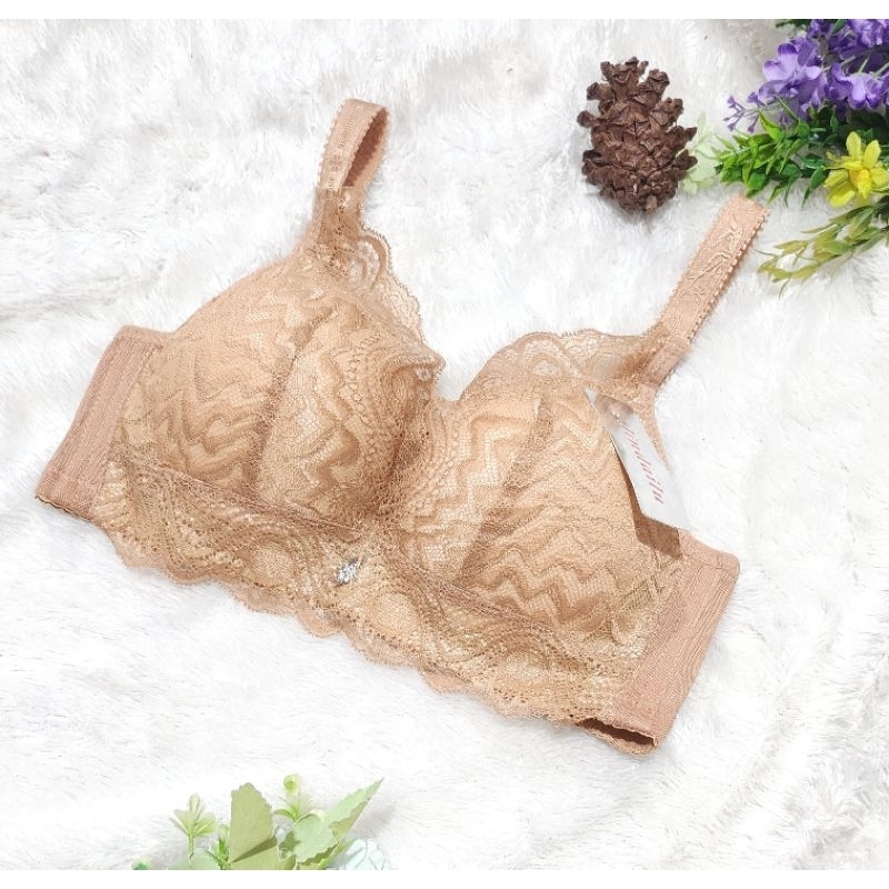 Bra Wanita Kawat Busa Tebal -+4-5cm Bra Push Up Kait 3 bh 2996
