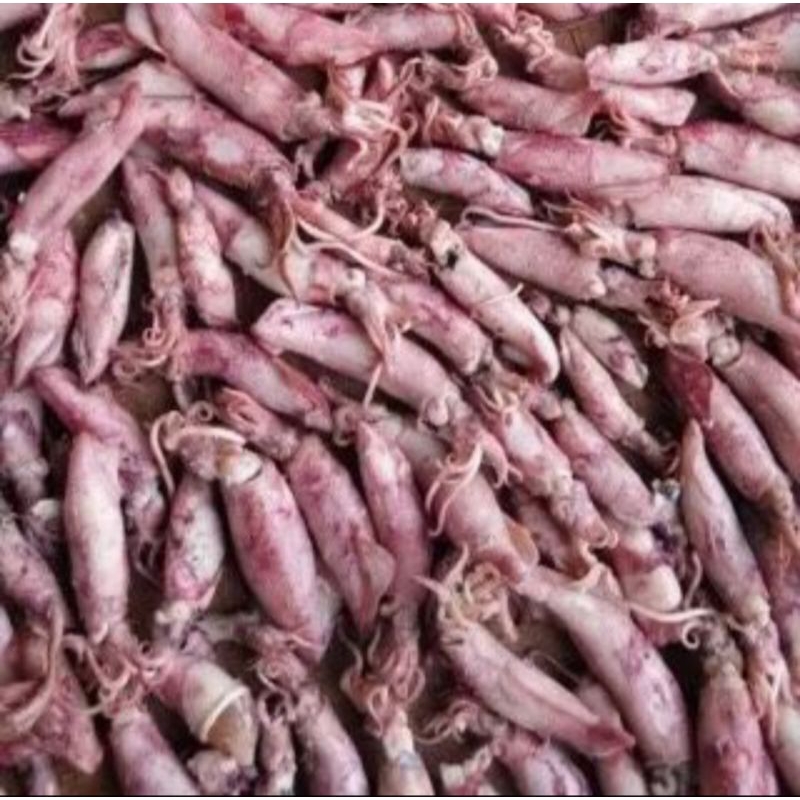 

ikan asin cumi