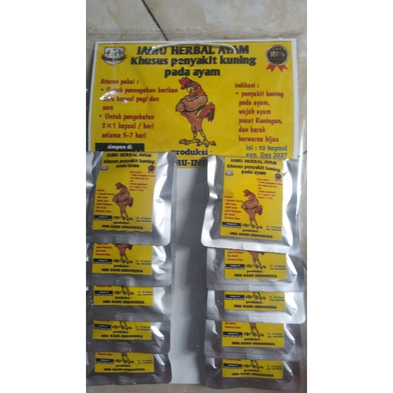 obat kuning ayam, jamu herbal ayam penyakit kuning 1 renteng