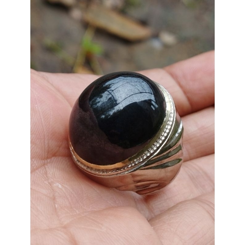 bacan doko coklat batang hitam semu bodi glas natural