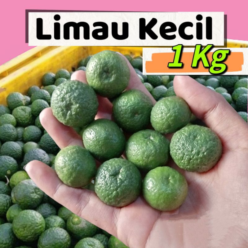 

1 KG KECIL JERUK LIMAU LIMO BASO ACI UKURAN KECIL
