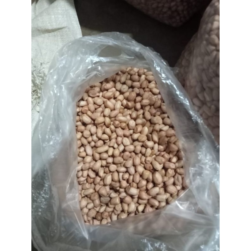 

Kacang Tanah 1kg