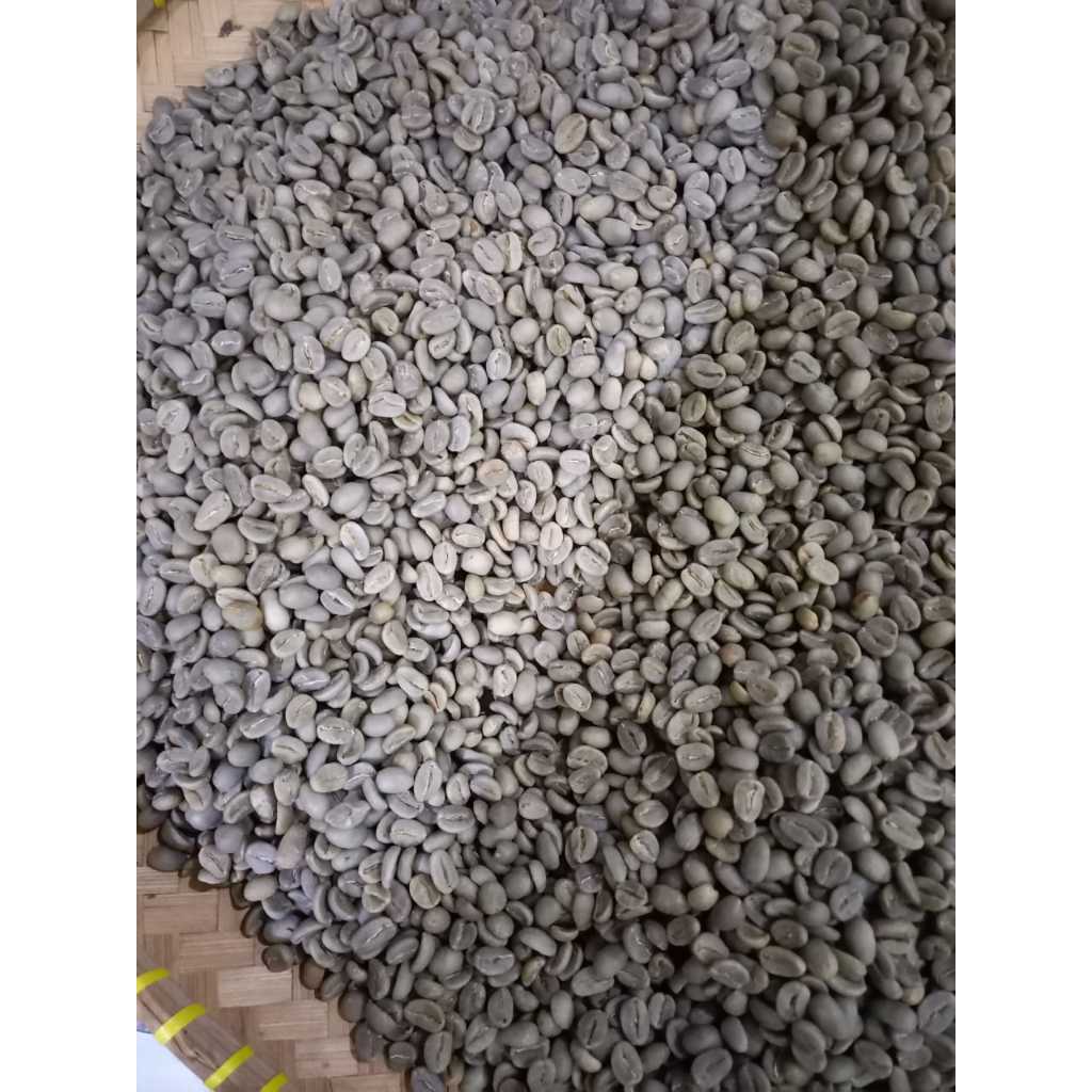 

kopi arabika premium green bean black vulcano west java