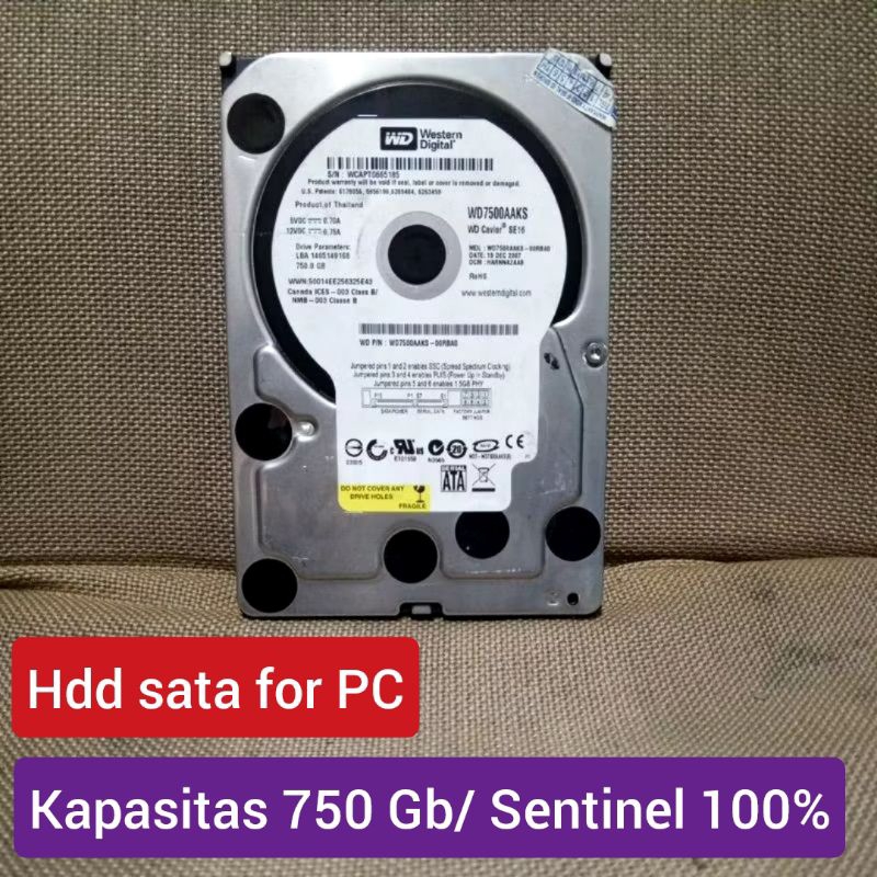 HDD Harddisk Komputer 750 Gb 100%