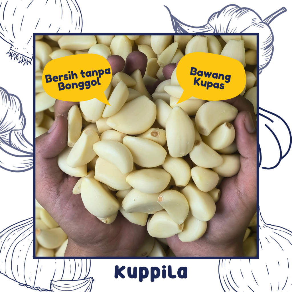 

Bawang Putih Kupas, bersih tanpa bonggol - bawang putih fresh - cocok untuk restoran / catering