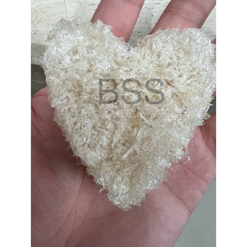 

Hancuran Birdnest Bentuk Love 100g - Rahasia Kulit Muda Alami
