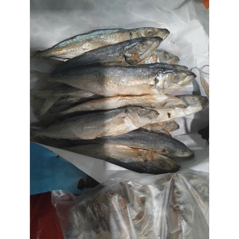 

ikan pedo k1/besar asin