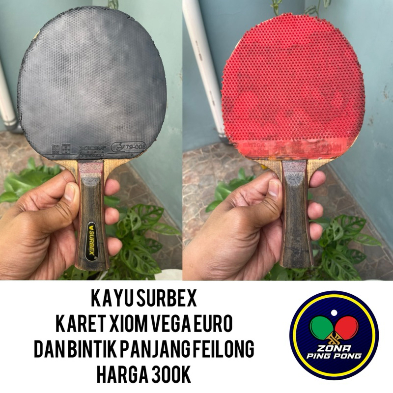 Bet Pingpong Sepaket Surbex Karet Xiom Vega Euro Dan Bintik Feilong Secon Bekas