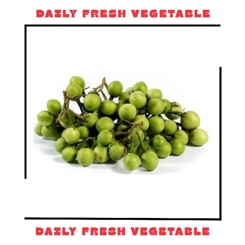 

Leunca Leuca Fresh 250gr