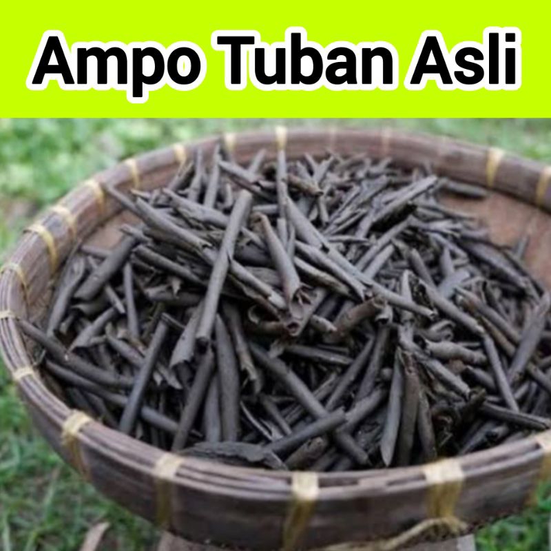 

Ampo Tuban Asli