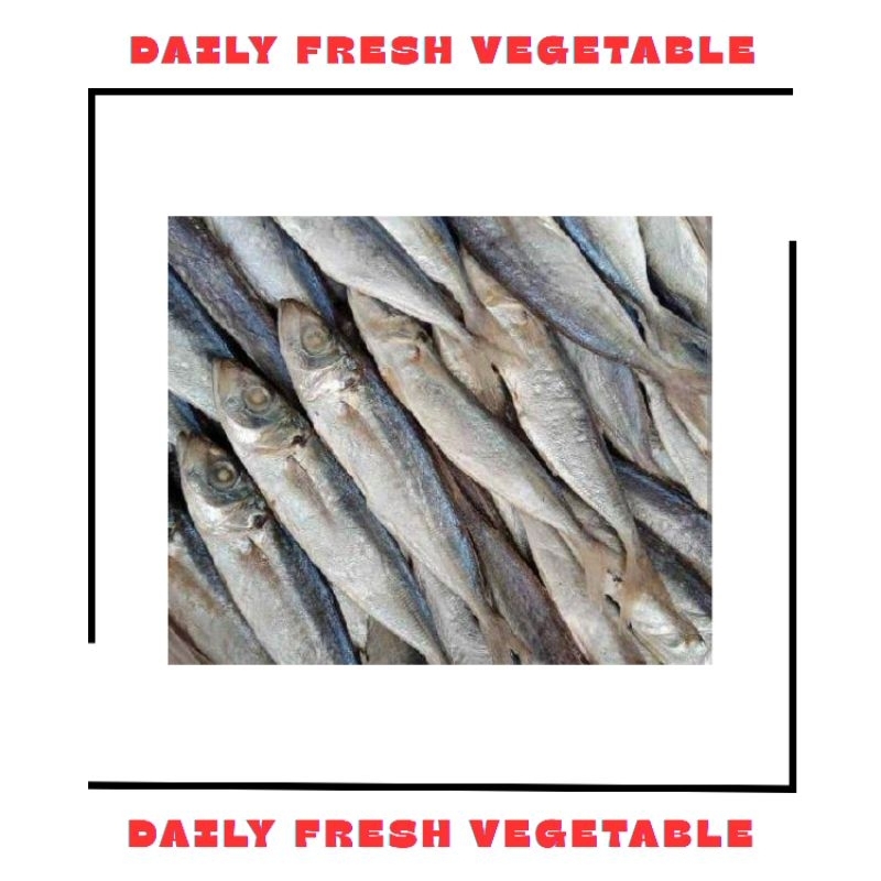 

Ikan Asin Japu Fresh 2 Pcs