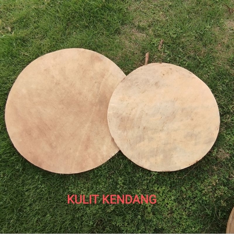 Kulit Kendang Keplak Jaranan Banyuwangi dan Kendang Ciblon