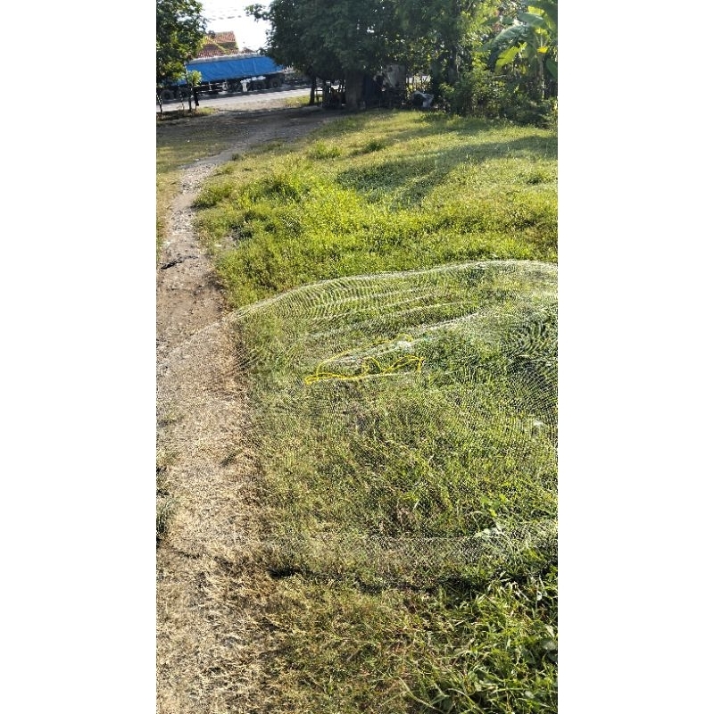 jala udang dan ikan 1" satu jari panjang 3 meter full mekar