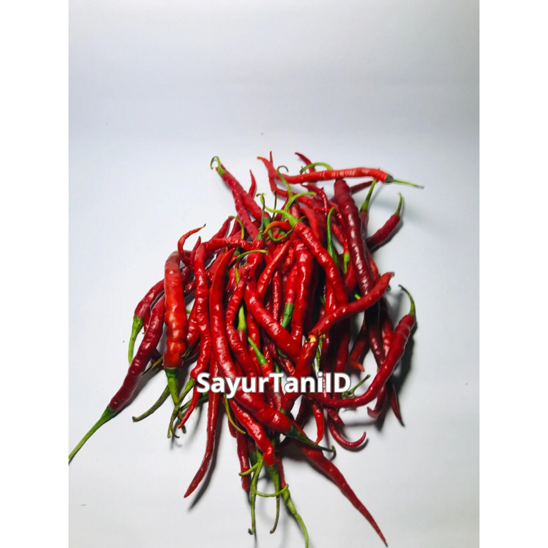 

cabai rawit merah keriting/cabai keriting merah