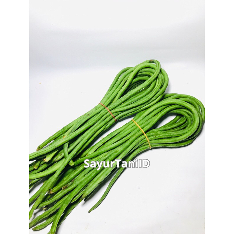 

kacang panjang/kacang segar