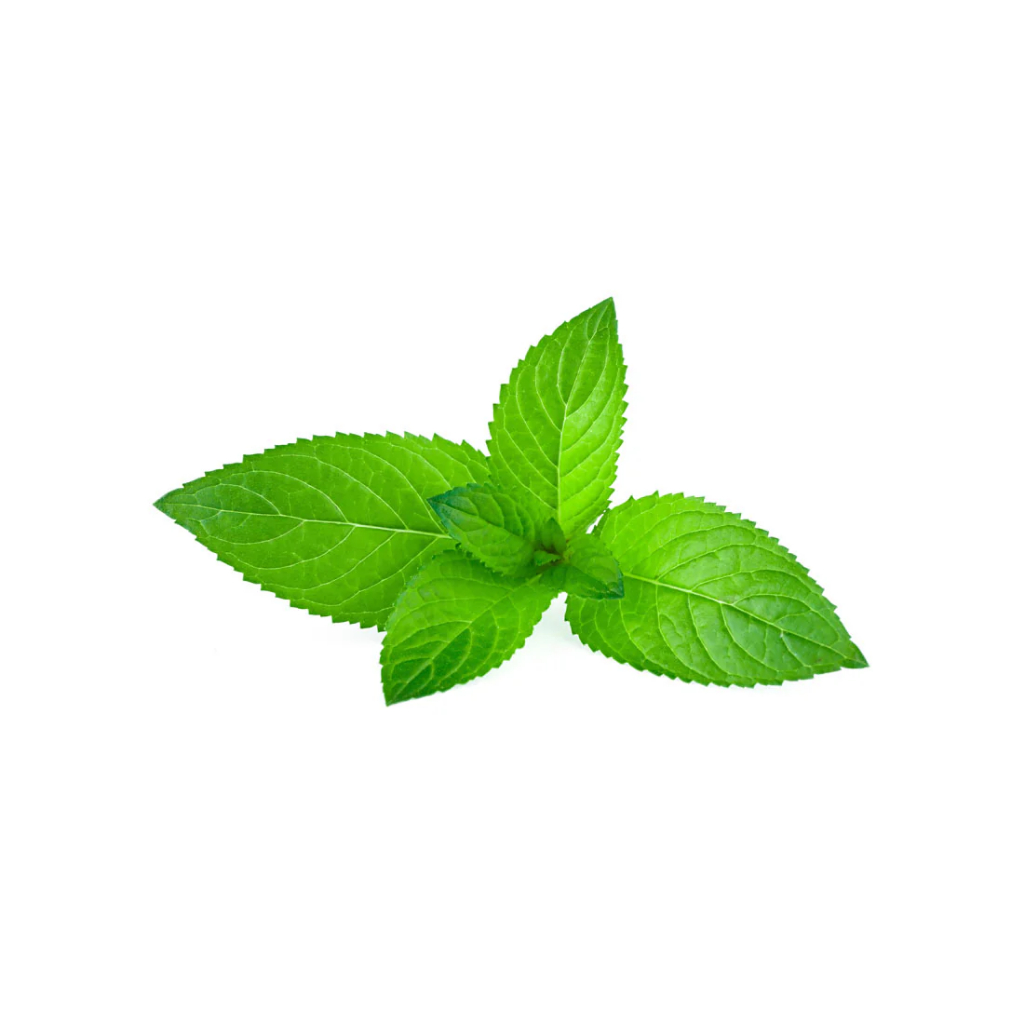Capella Cool Mint Essence perasa