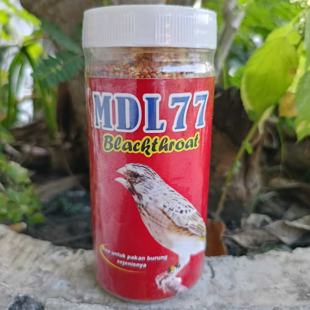 PAKAN BLACKTHROAT MDL 77 BLACKTHROAT PAKAN PENGGACOR HARIAN DAN BREEDING BURUNG BLACKTHROAT SANGER M