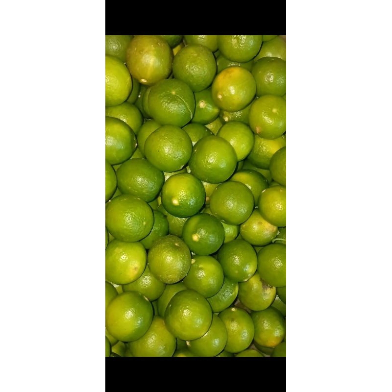 

jeruk nipis 1kg