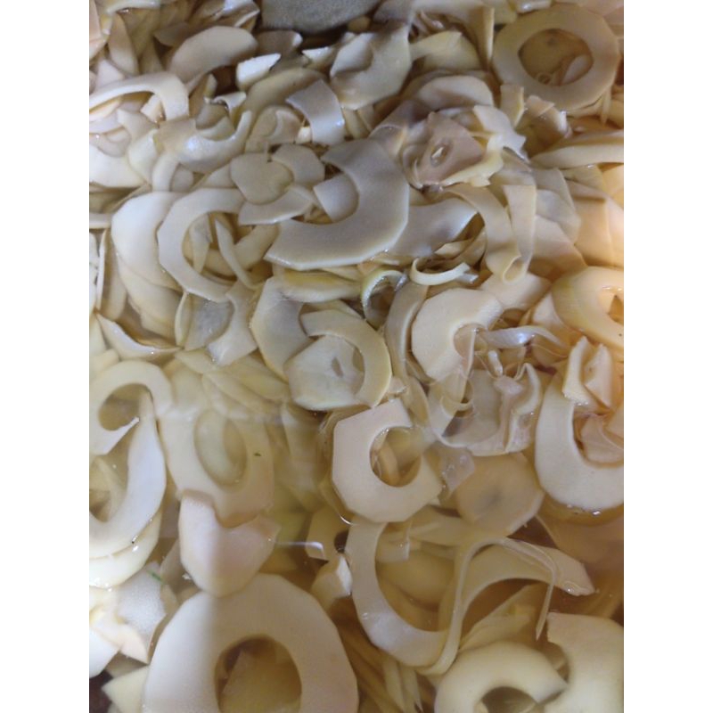 

rebung iris berat 250grm