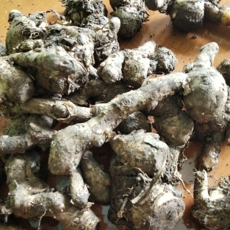 

Kunci Rempah Rempah Alami