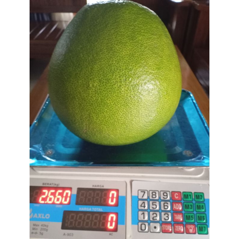 

Jeruk pamelo madu Asli dari Pati berat 2 kg - 2,5 kg