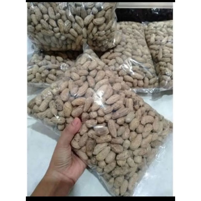 

PROMO KACANG SANGRAI KULIT KHAS PANGANDARAN