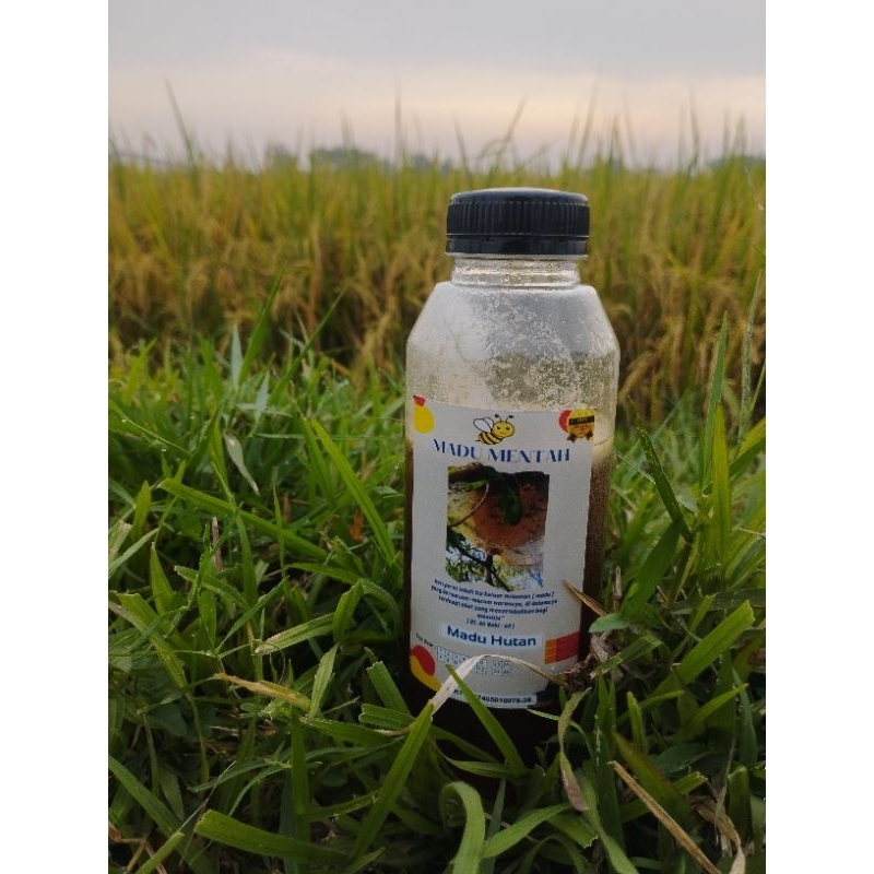 

Madu Hutan Sialang pure raw honey 500 gr 100 % murni