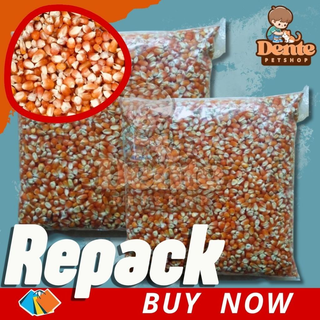 

JAGUNG KRISTAL BERSIH Pakan Ayam & Burung Berkualitas Kemasan Ulang Kiloan Eceran | Repack 1kg