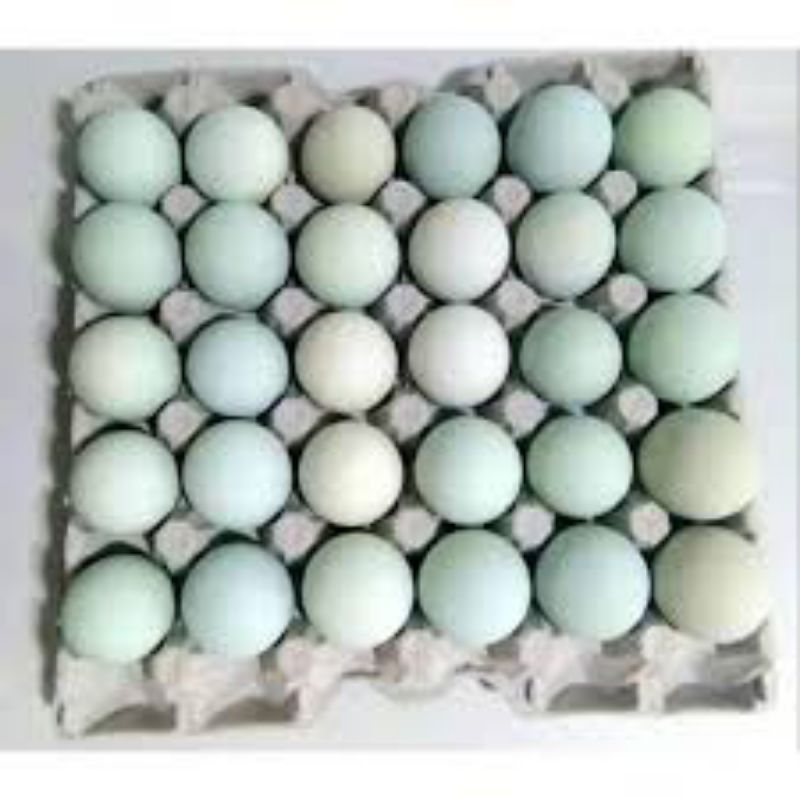 

telur bebek mentah isi 30pc