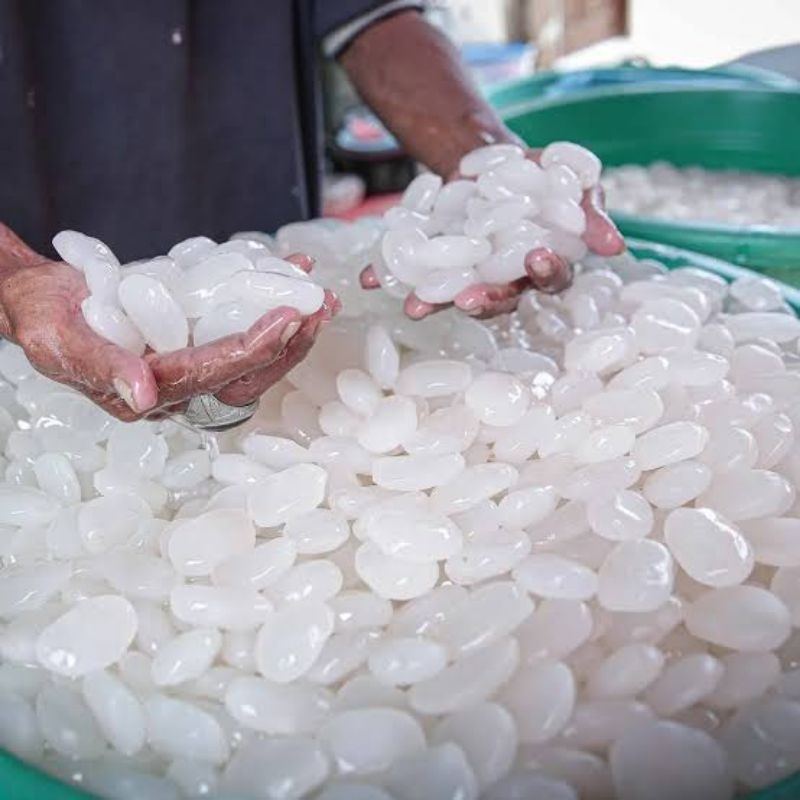 

Biji Kolang Kaling Segar 1 kg Asli 100% Kenyal
