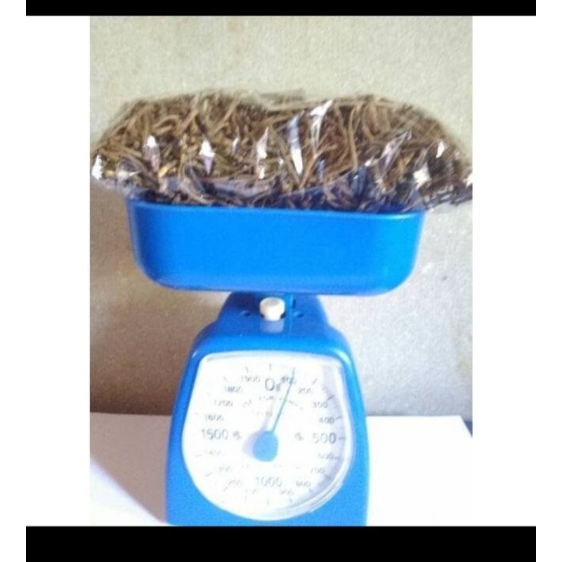 

Gagang cengkeh murni kuwalitas 100% kering 1 KG