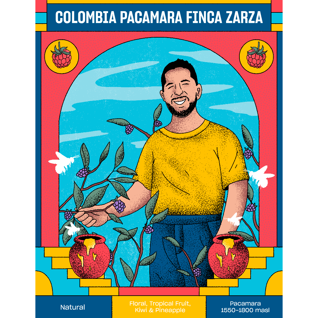 

Biji Kopi Arabika Colombia Pacamara Finca Zarza Natural Specialty Arabica Coffee