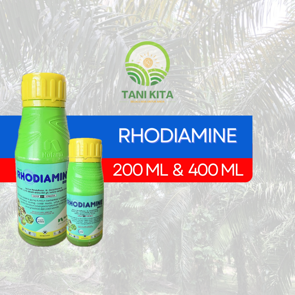 CAMPURAN RACUN RHODIAMINE