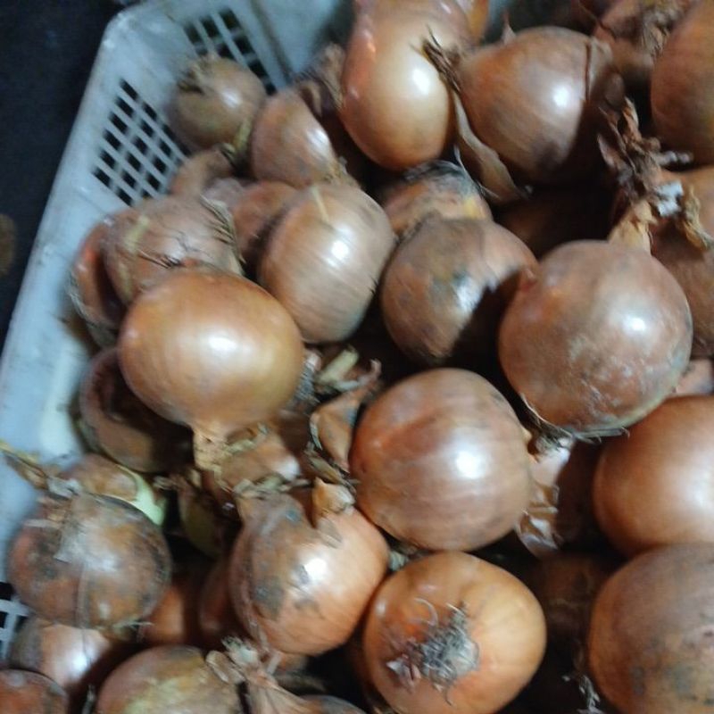 

bombai 1kg