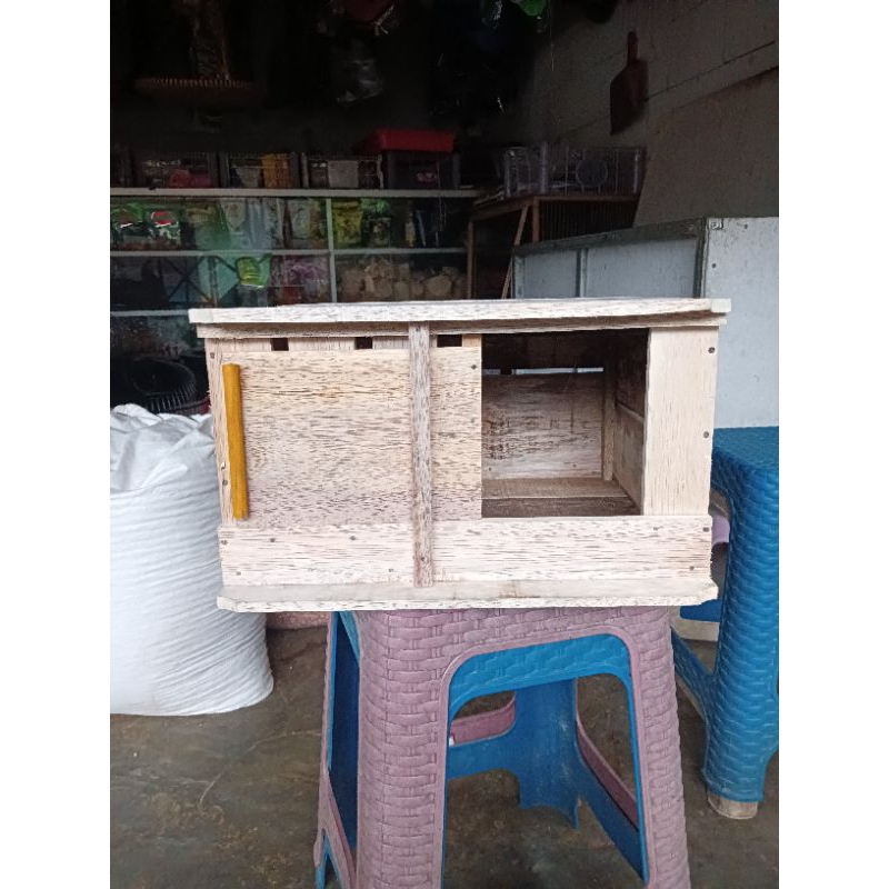 GUPON/PAGUPON MERPATI MURAH MERIAH