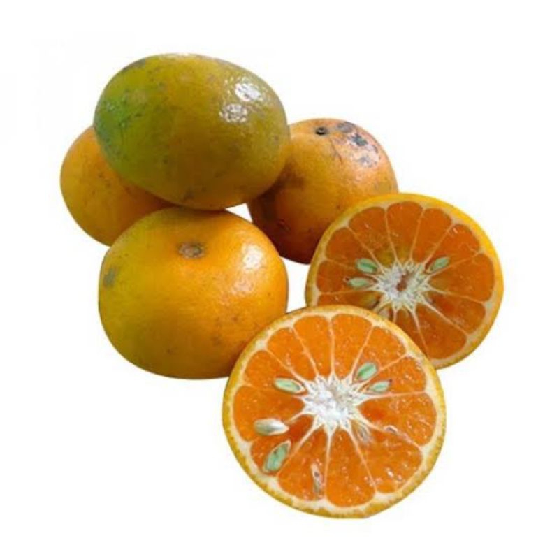 

jeruk madu Bali manis 500gr-1kg