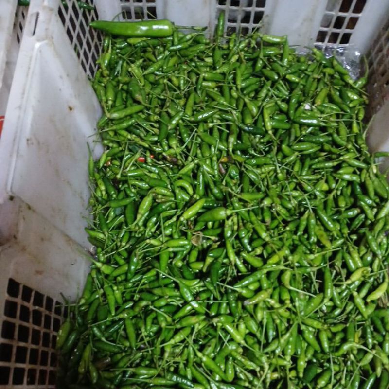 

rawet ijo lalap 1kg