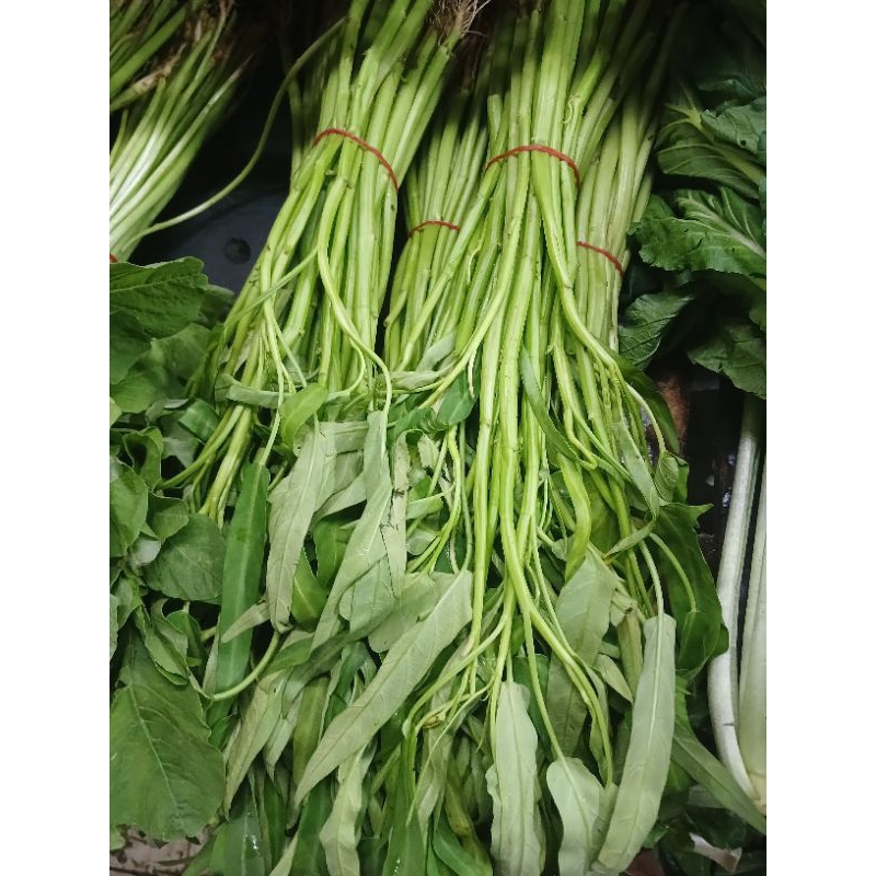

kangkung fresh