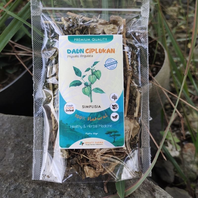 

DAUN CIPLUKAN KERING PREMIUM FRESH OVEN | DAUN CIMPLUKAN CECENDET SEGAR KERING