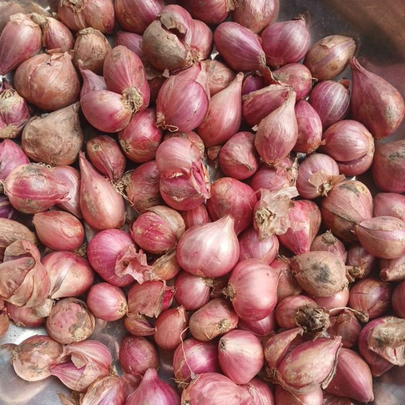 

BRAMBANG MERAH 250GR