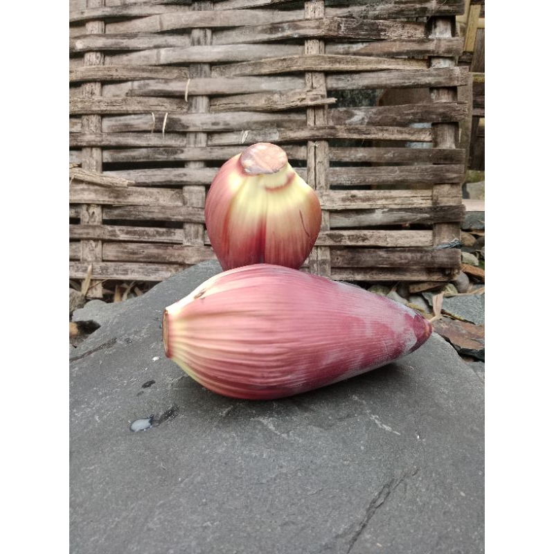 

JANTUNG PISANG fresh per biji